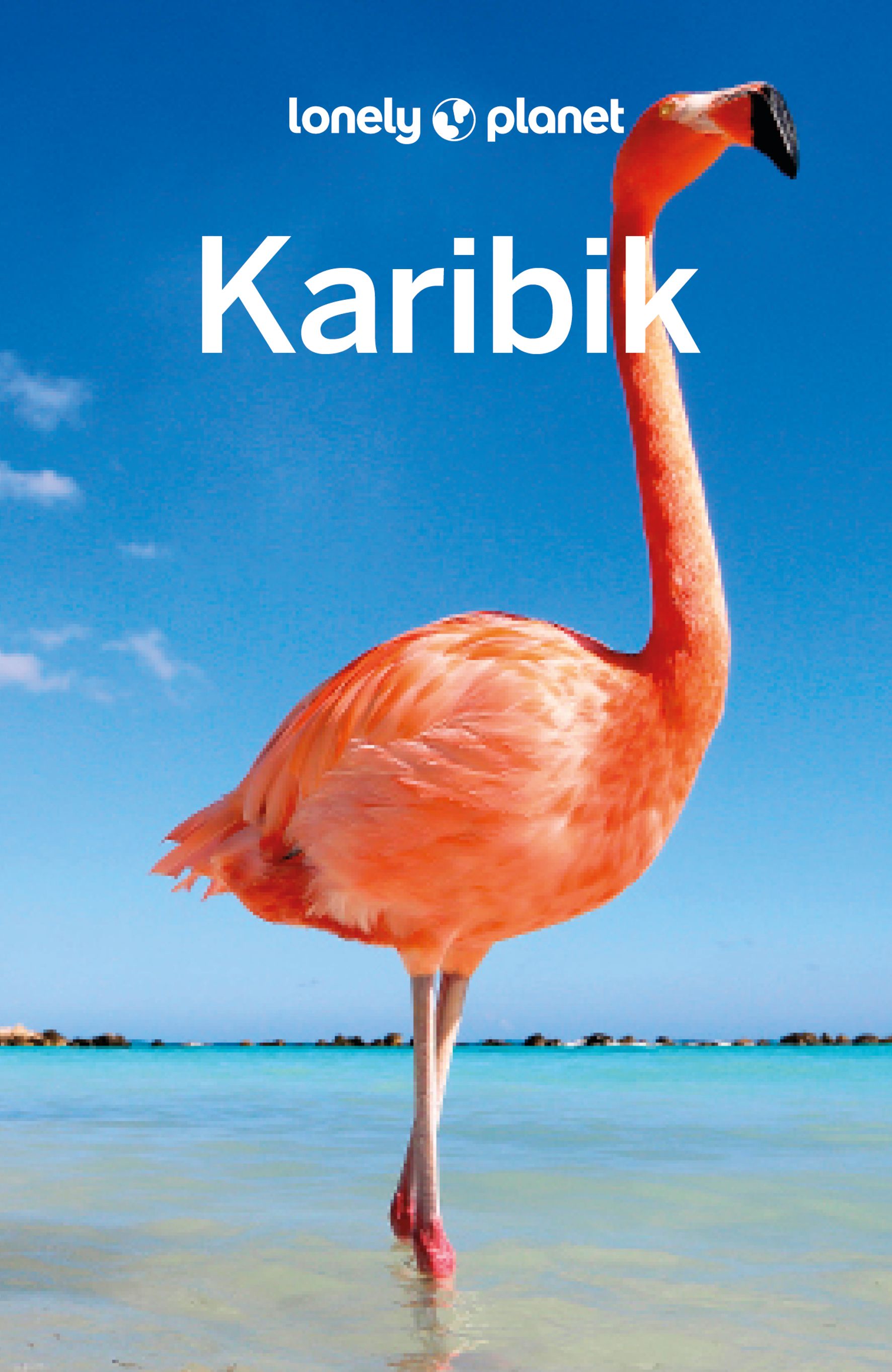 Lonely Planet Karibik (eBook)